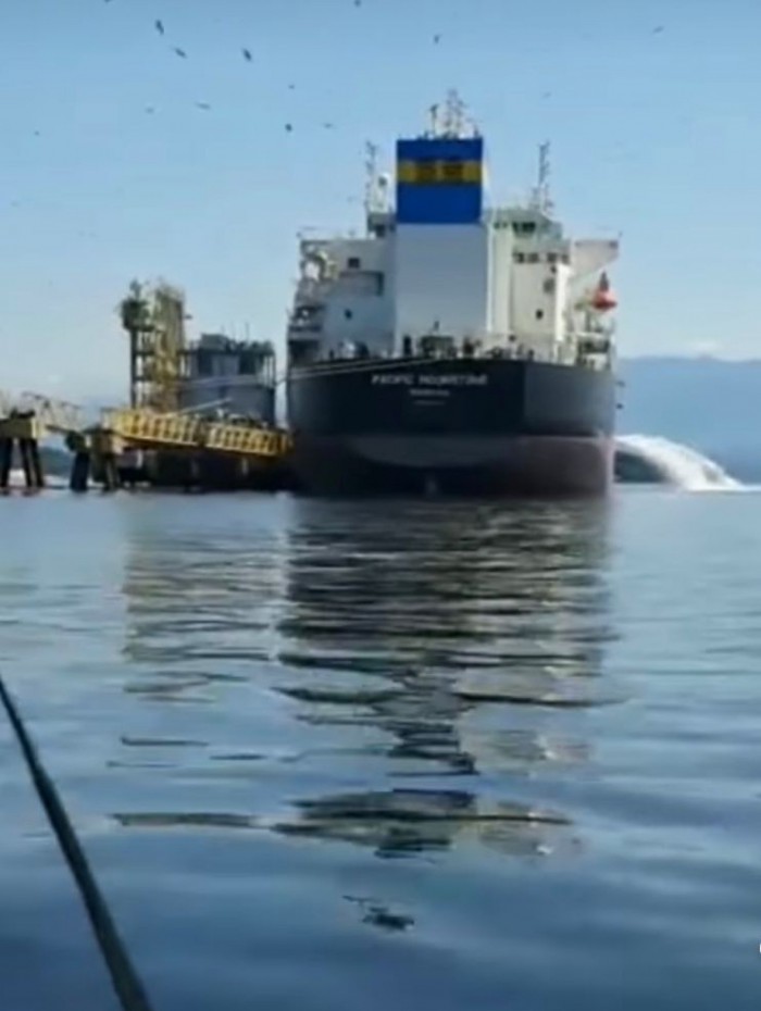 Vídeo gravado por pescadores locais flagrou o exato momento em que um navio, chamado Pacific Moonstone, despejando água de lavagem do navio nas águas da Baía de Guanabara