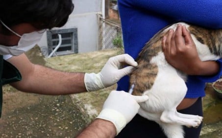 Caxias leva vacinação antirrábica para mais bairros