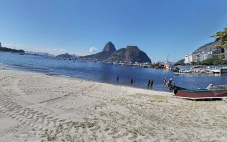 PM prende dois homens por tentativa de roubo na Praia de Botafogo