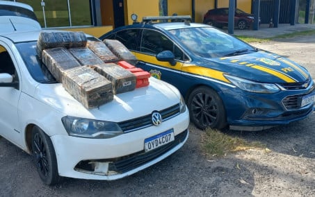 PRF apreende carga de drogas estimada em R$ 250 mil 