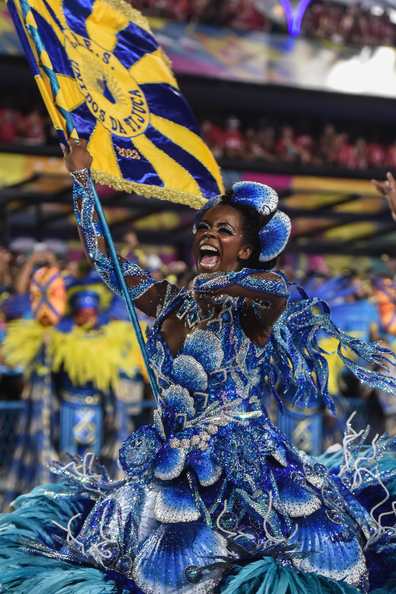 Denadir vai torcer pela Unidos da Tijuca na apura&ccedil;&atilde;o do Grupo Especial