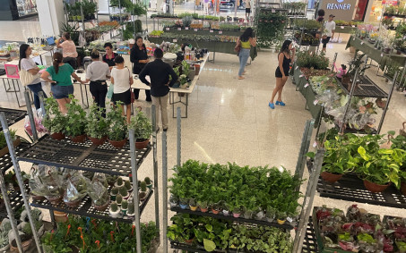 Semana da mulher em Nova Iguaçu segue com eventos neste sábado e domingo