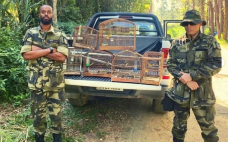 Guarda Ambiental realiza apreensão de aves silvestres capturadas irregularmente em Nova Iguaçu