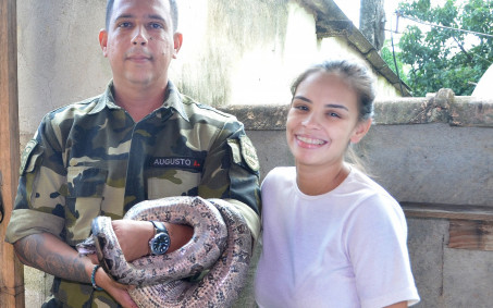 Guarda Ambiental resgata Jiboia de 1,5 metro em casa de Nova Iguaçu