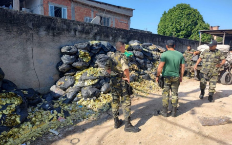 Guarda Ambiental encontra mais de 100 mil cartelas de medicamentos vencidos em Nova Iguaçu