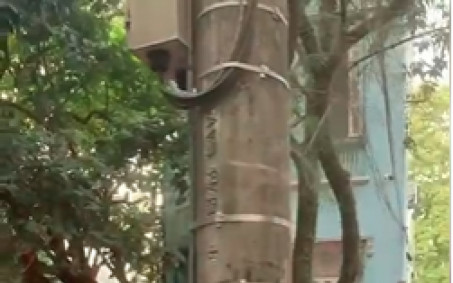 Policial militar de folga é executado a tiros no Humaitá