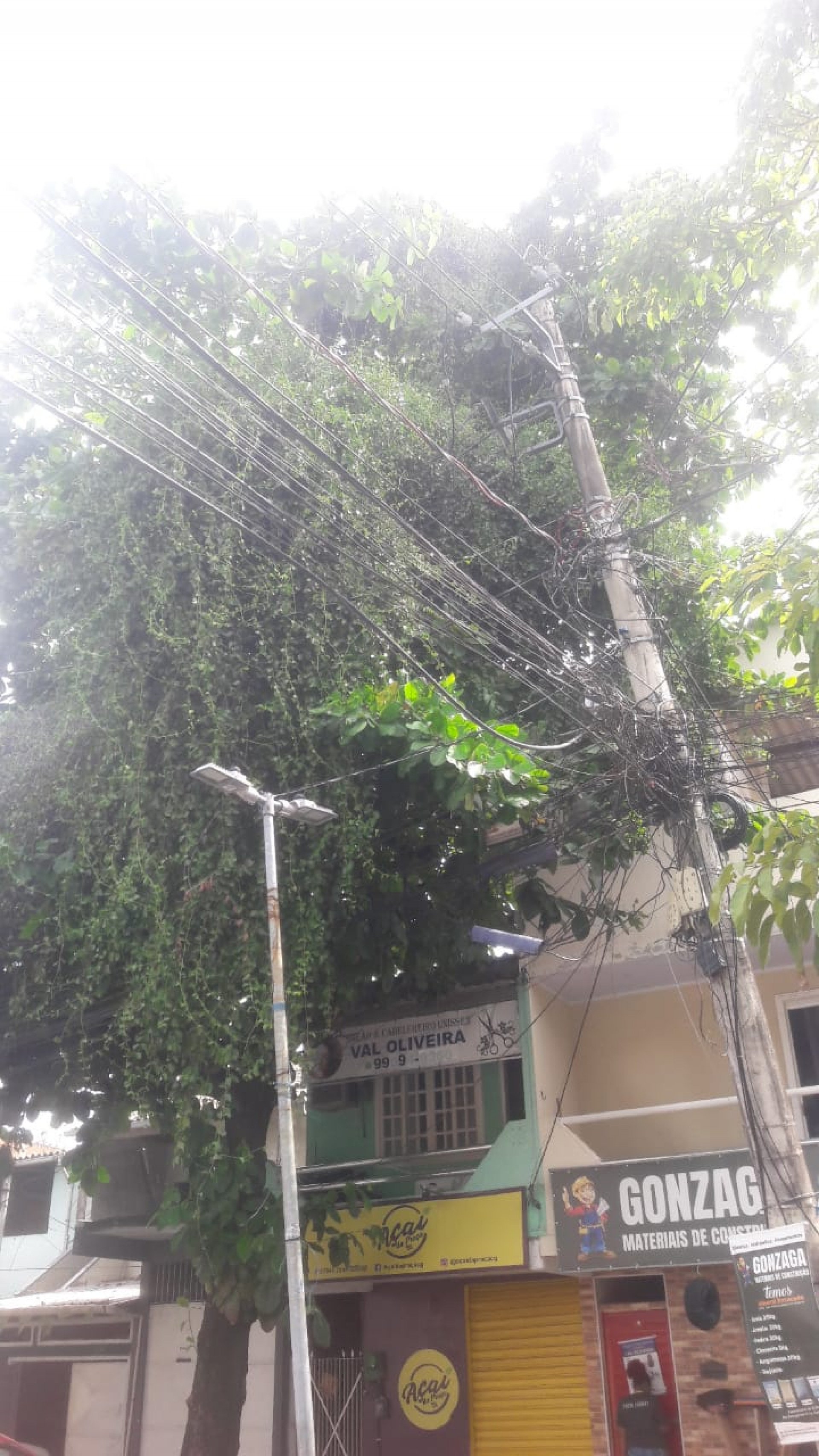 CAMPO GRANDE ALCEU
