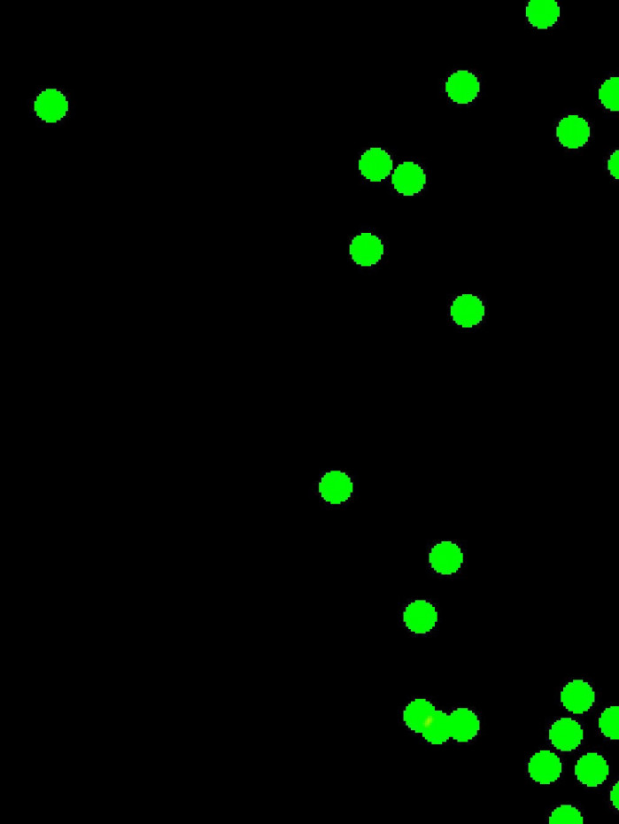 Mapa de calor de Jhon Arias no primeiro tempo de Fluminense 1x0 The Strongest
