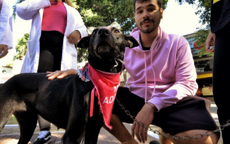 Feira de adoção de cães e gatos promove novas amizades em Nova Iguaçu