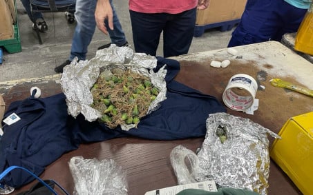 Receita Federal apreende cactos com substância alucinógena no Aeroporto do Galeão