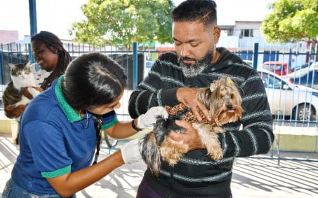 Centro de Zoonoses realiza vacinação antirrábica em Visconde de Mauá