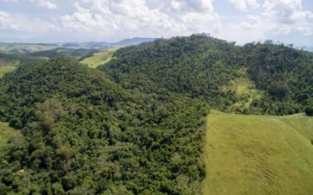 Horto dos Quatis entra para lista de unidades de conservação do Estado