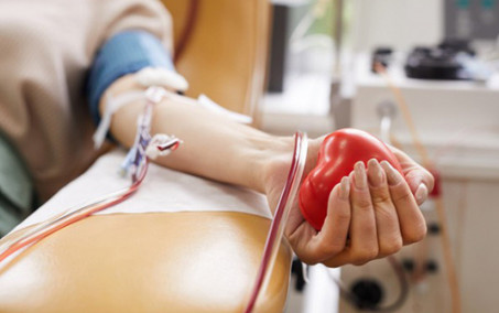 Instituto Vital Brazil e Hemorio realizam parceria para coleta de sangue