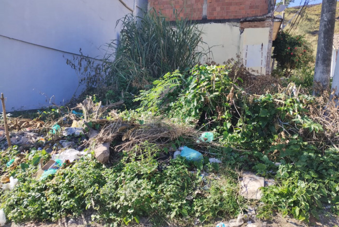 S&Atilde;O GON&Ccedil;ALO ALCEU