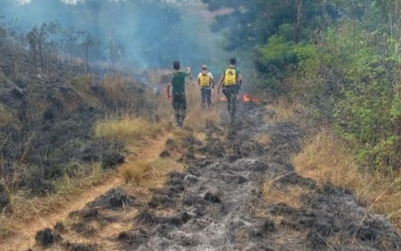 Guarda Ambiental combate focos de incêndio em área de mata de Nova Iguaçu