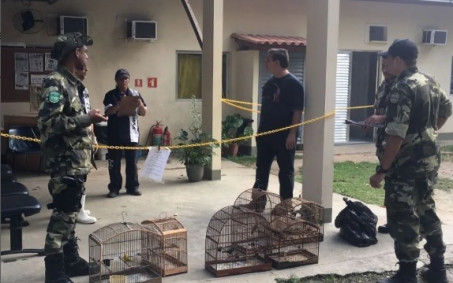 Guarda Ambiental apreende animais que eram mantidos de forma irregular em Nova Iguaçu