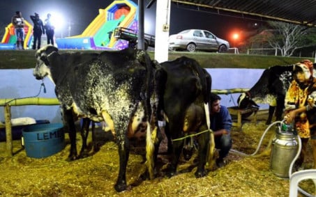 Vila da Fumaça realiza tradicional torneio leiteiro