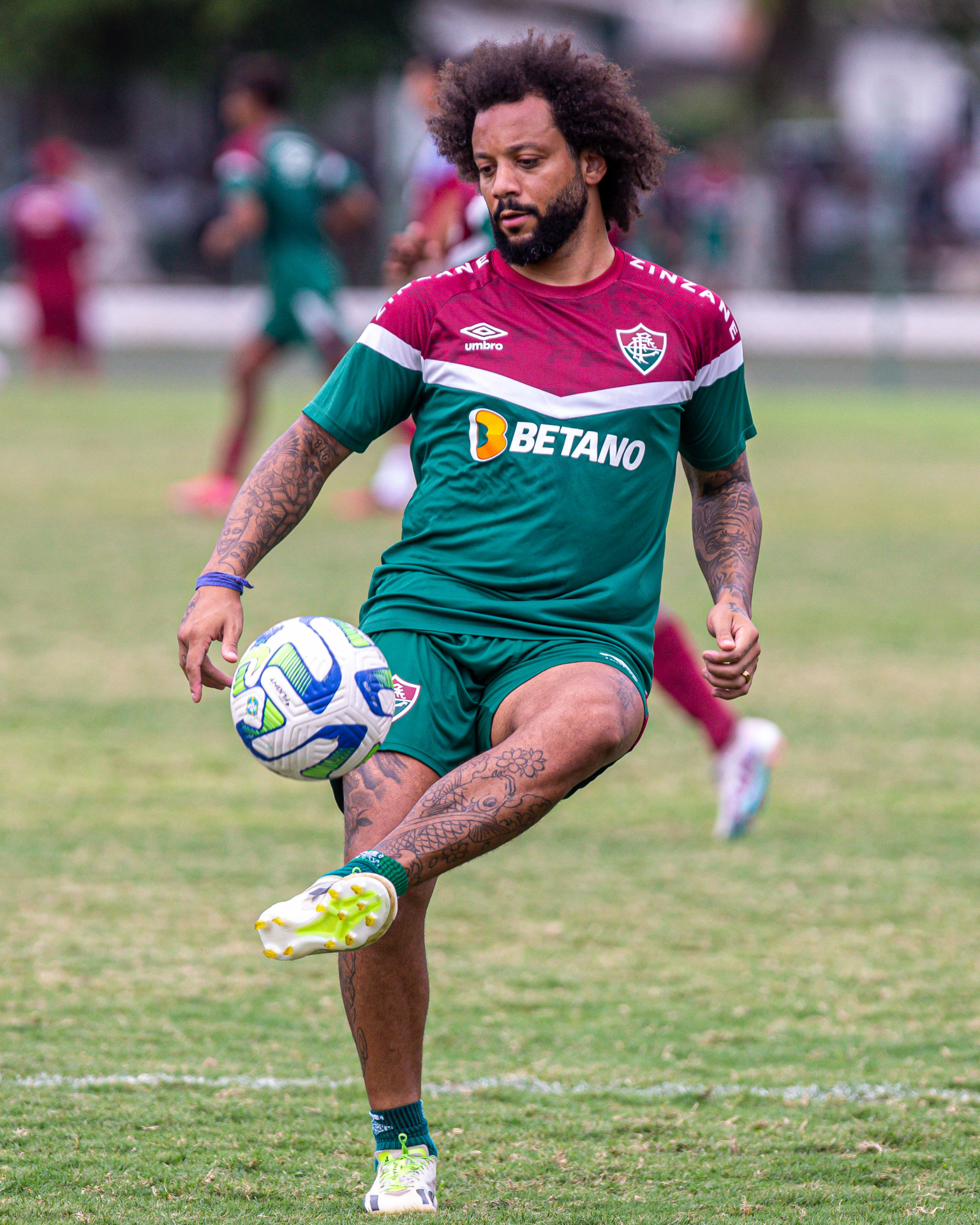 Marcelo - Marcelo Gonçalves / Fluminense