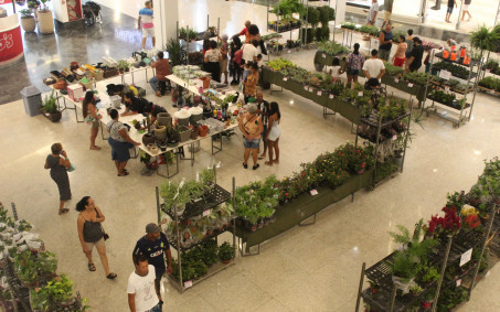 Expo Orquídeas segue até o próximo domingo, em Nova Iguaçu
