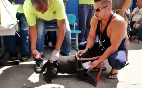 Nova Iguaçu inicia vacinação antirrábica neste fim de semana