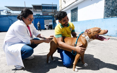 Nova Iguaçu deu pontapé inicial em campanha de vacinação antirrábica no fim de semana