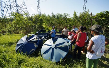 Prefeitura de Nova Iguaçu estimula criação de hortas domésticas com curso