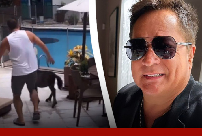 V&iacute;deo mostra Leonardo dando chute em dire&ccedil;&atilde;o ao p&ocirc;nei da neta Maria Alice, filha mais velha de Virg&iacute;nia e Z&eacute; Felipe