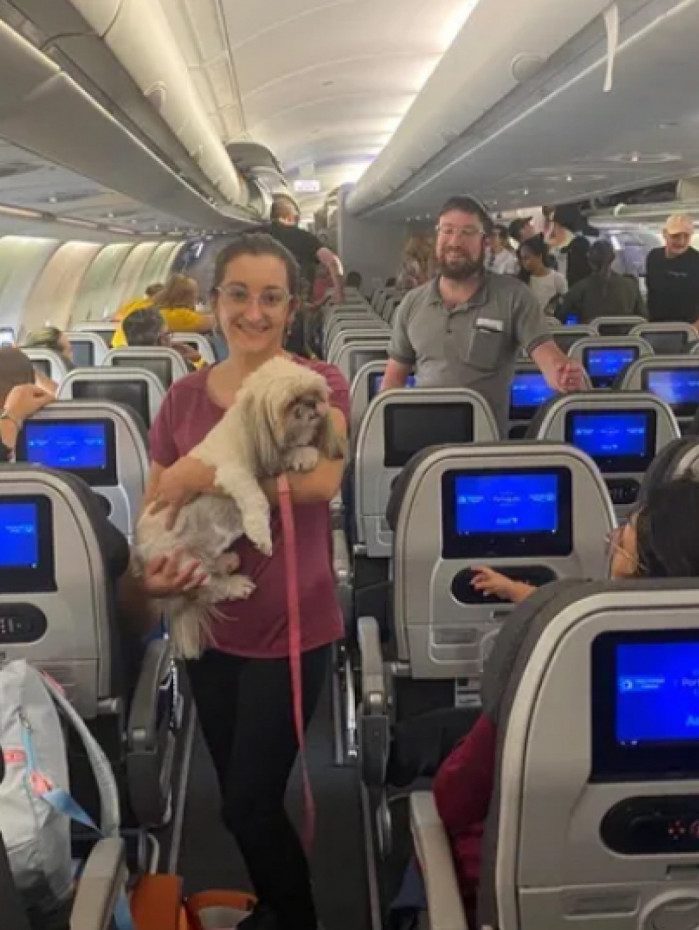 Três gatos e um cachorro também estavam no voo que veio de Tel Aviv
