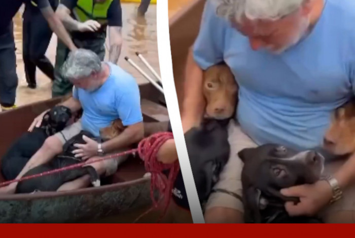 Homem se emociona após resgatar cães no Rio Grande do Sul