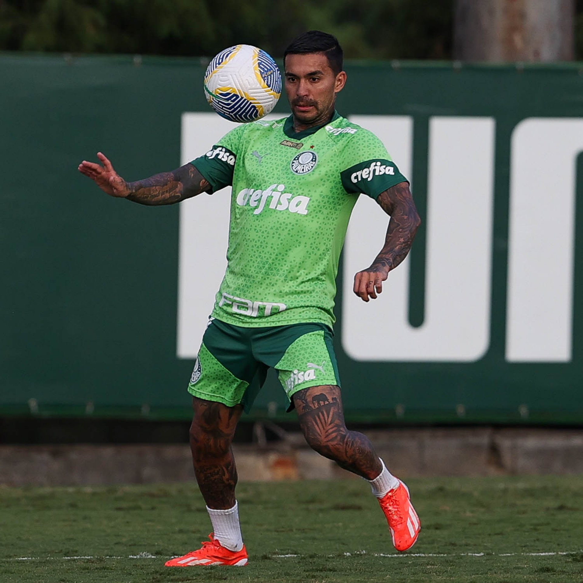 O jogador Dudu, da SE Palmeiras, durante treinamento, na Academia de Futebol. (Foto: Cesar Greco/Palmeiras/by Canon)