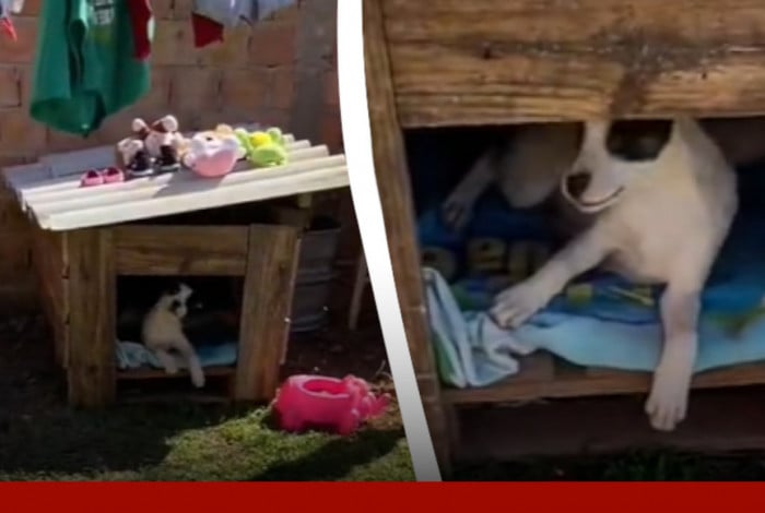 Crian&ccedil;a desapareceu por alguns minutos e foi encontrada na casinha do cachorro