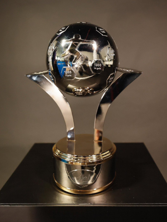 Troféu Roberto Dinamite