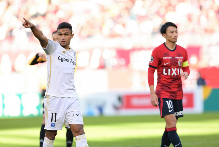 Erik teve destaque no Botafogo, mas também jogou por Palmeiras, Atlético-MG e Goiás no Brasil