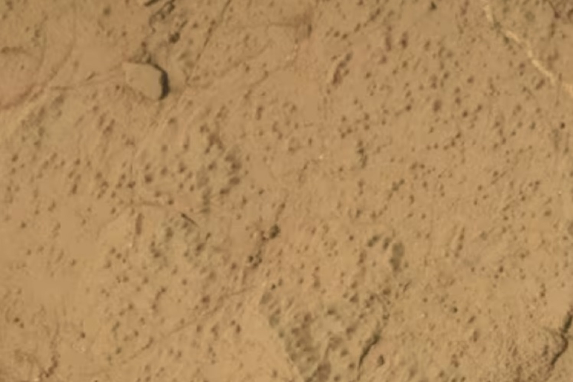 Robô da Nasa encontra compostos orgânicos em Marte: o que isso diz sobre vida fora da Terra?