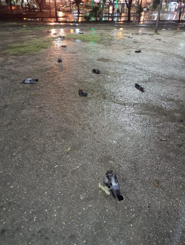 Caso aconteceu no Largo da Gl&oacute;ria, na regi&atilde;o central do Rio