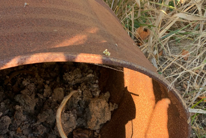 Diversas ossadas foram encontradas em cemitério clandestino na Chacrinha