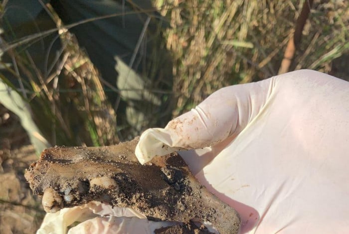 Diversas ossadas foram encontradas em cemitério clandestino na Chacrinha