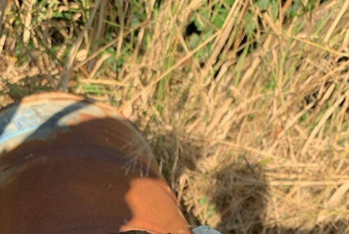 Diversas ossadas foram encontradas em cemitério clandestino na Chacrinha