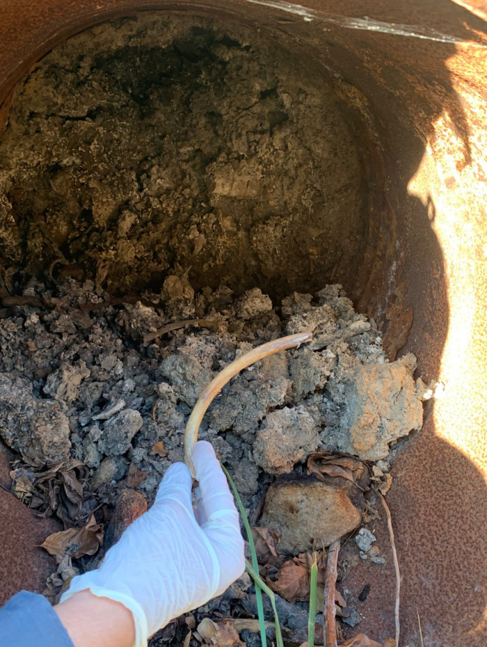 Diversas ossadas foram encontradas em cemitério clandestino na Chacrinha