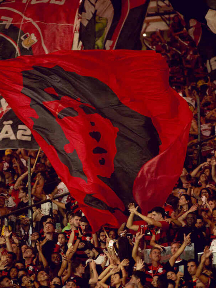 Flamengo pode ter Dia Nacional do Orgulho Rubro-Negro; entenda