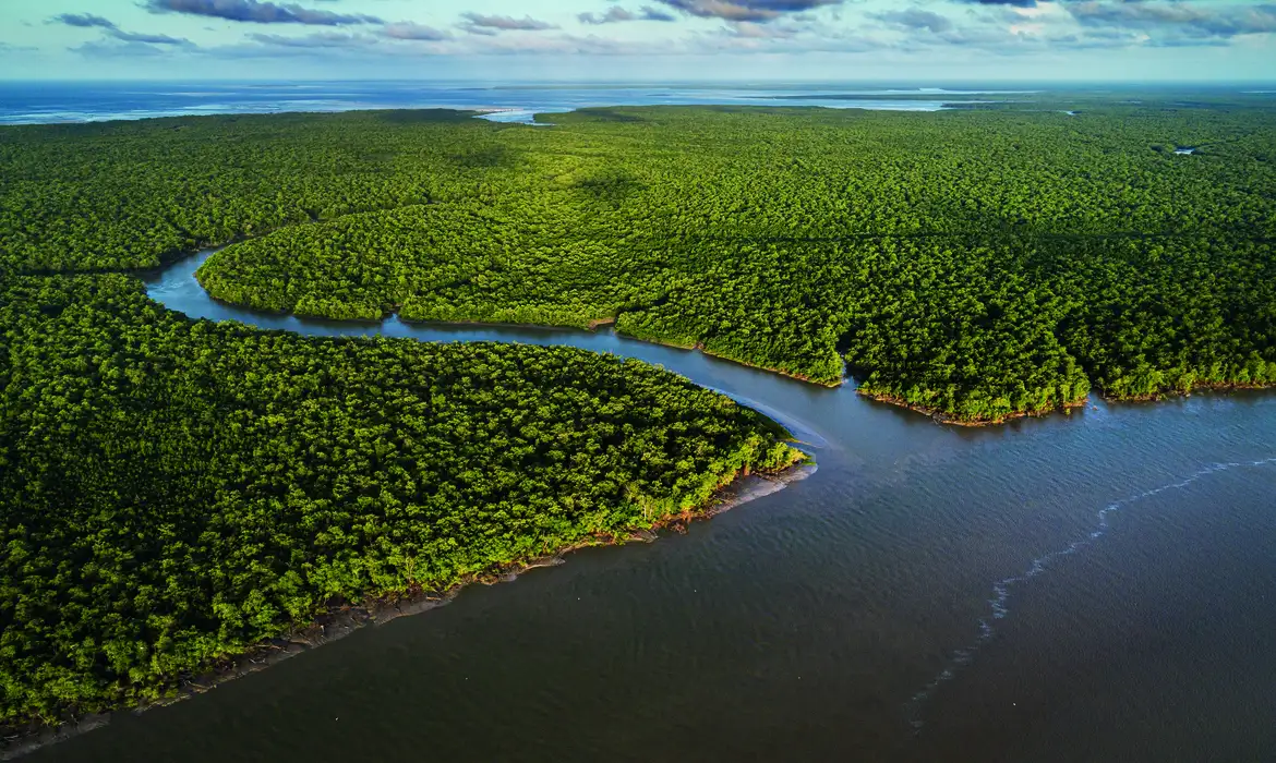 Fotos, instalações e até fantasias de carnaval integram mostra
