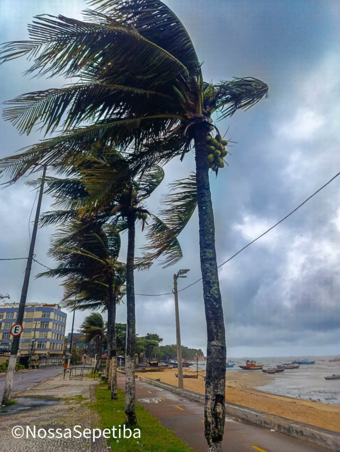 Previs&atilde;o &eacute; de ventos fracos a moderados, com temperaturas em decl&iacute;nio
