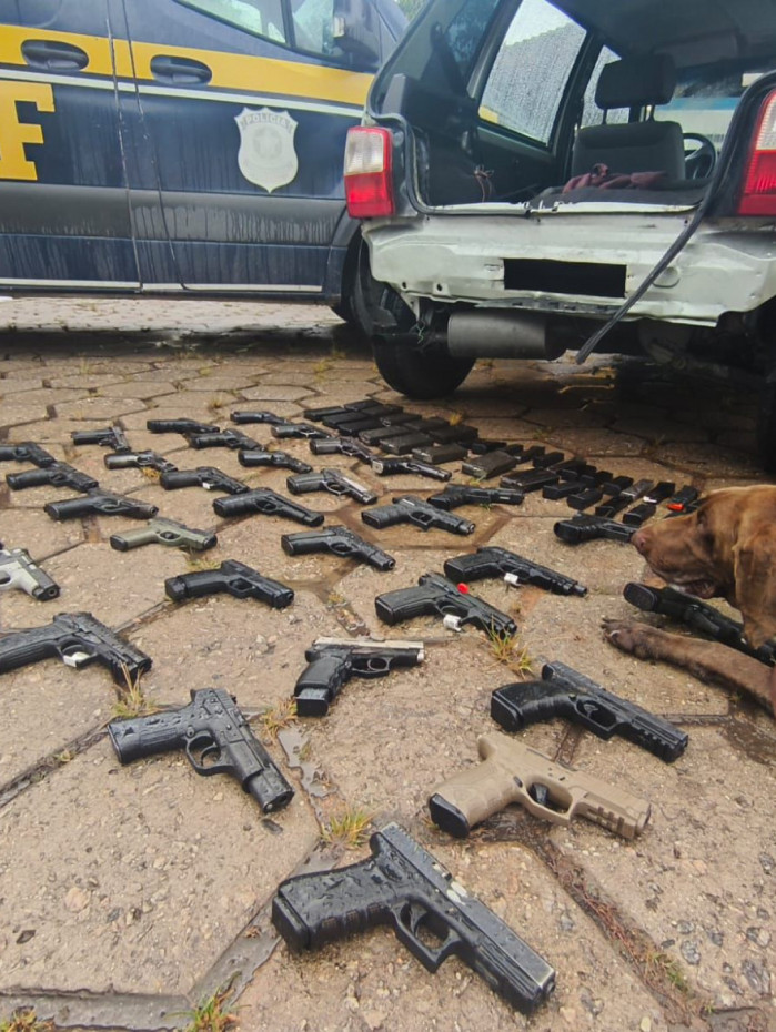 Armas foram encontradas com aux&iacute;lio de c&atilde;o farejador