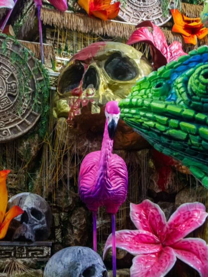 Imperatriz homenageia Ney Matogrosso