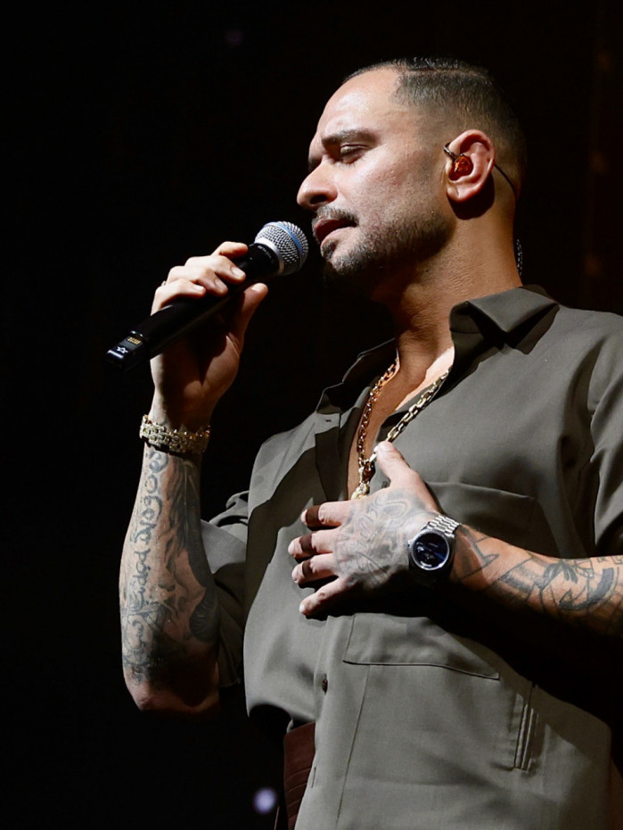 Diogo Nogueira durante show no Rio