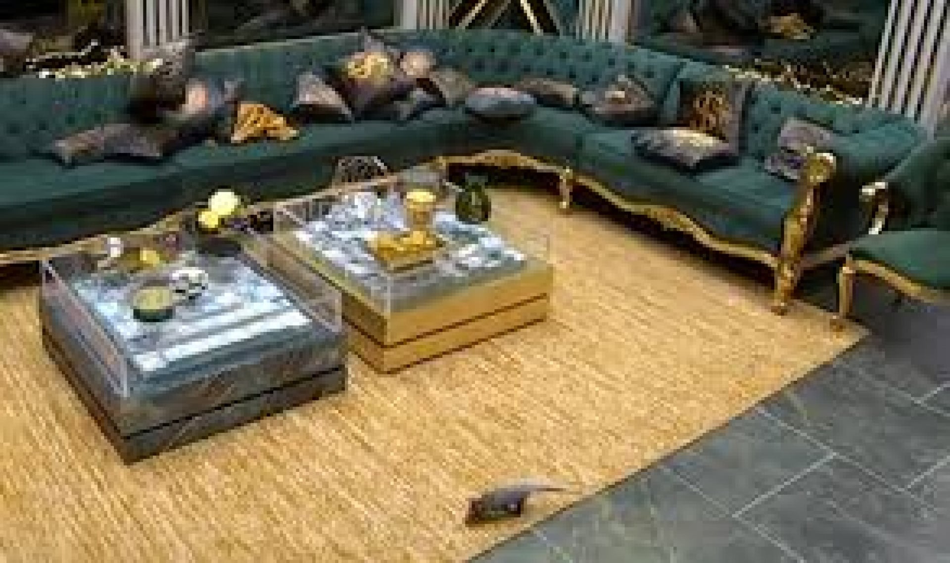 BBB 26: gamb&aacute; invade a casa e obriga produ&ccedil;&atilde;o a intervir