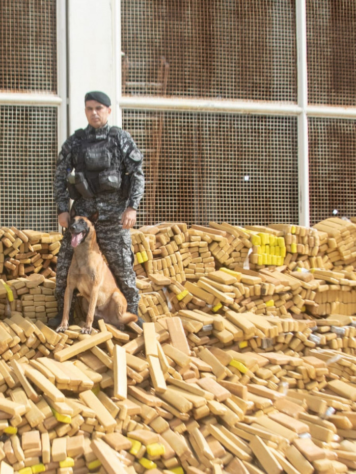 Cerca de 48 toneladas de maconha foram apreendidas pelo BAC na Mar&eacute;