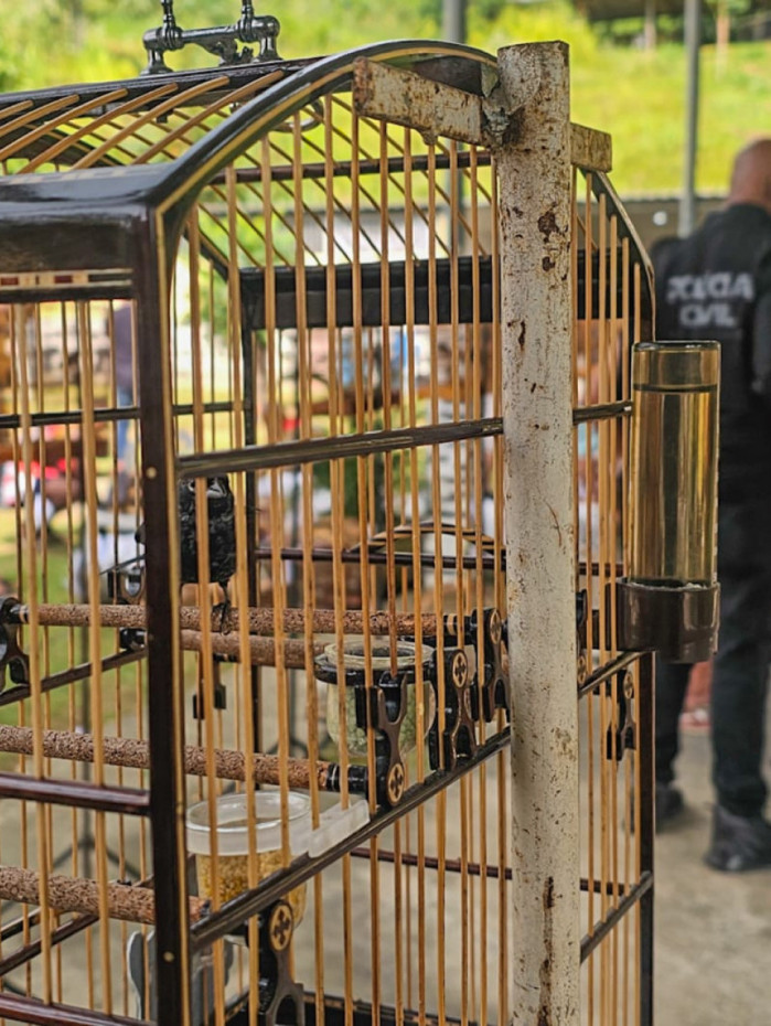 Animais receber&atilde;o cuidados antes de serem devolvidos &agrave; natureza