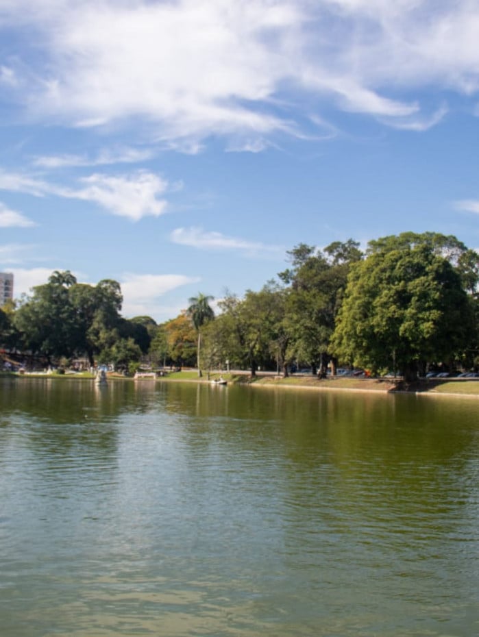 Manh&atilde; de s&aacute;bado foi ensolarada e fria na Quinta da Boa Vista