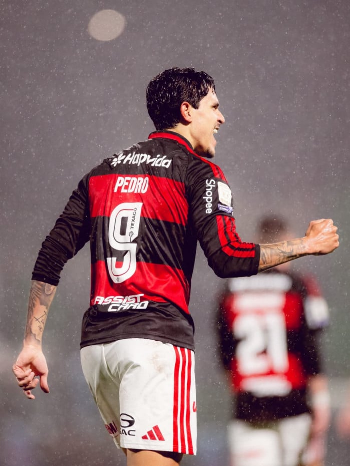 Comemora&ccedil;&atilde;o de Pedro em Chapecoense x Flamengo